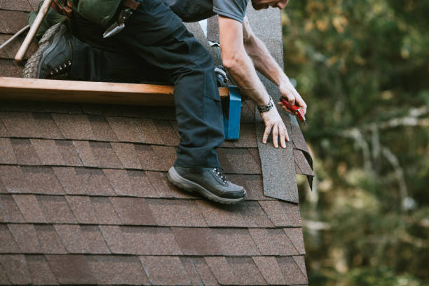Best Affordable Roof Replacement  in Biscayne Park, FL